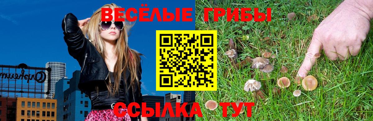Ханты-Мансийск  Галлюциногенные грибы GOLDEN TEACHER  где купить наркотик  Вход с VPN 